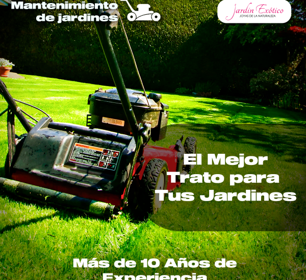 Mantenimiento de jardines2