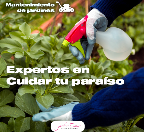 Mantenimiento de jardines3