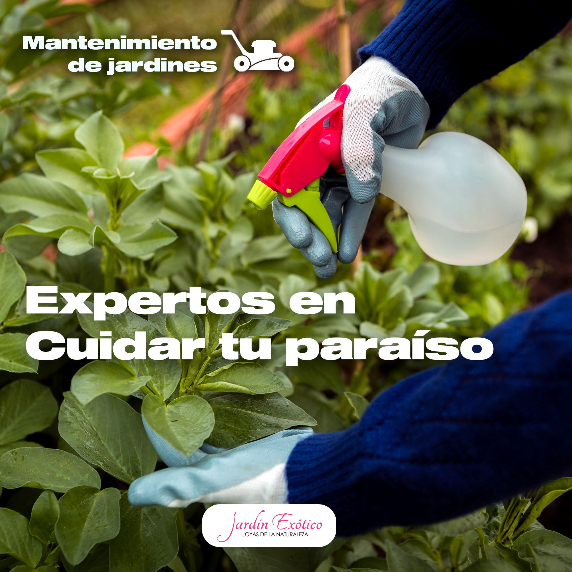 Mantenimiento de jardines3